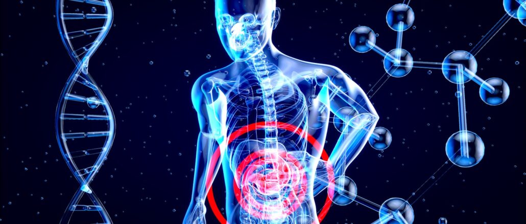 a 3d image of a human with a red circle in his stomach